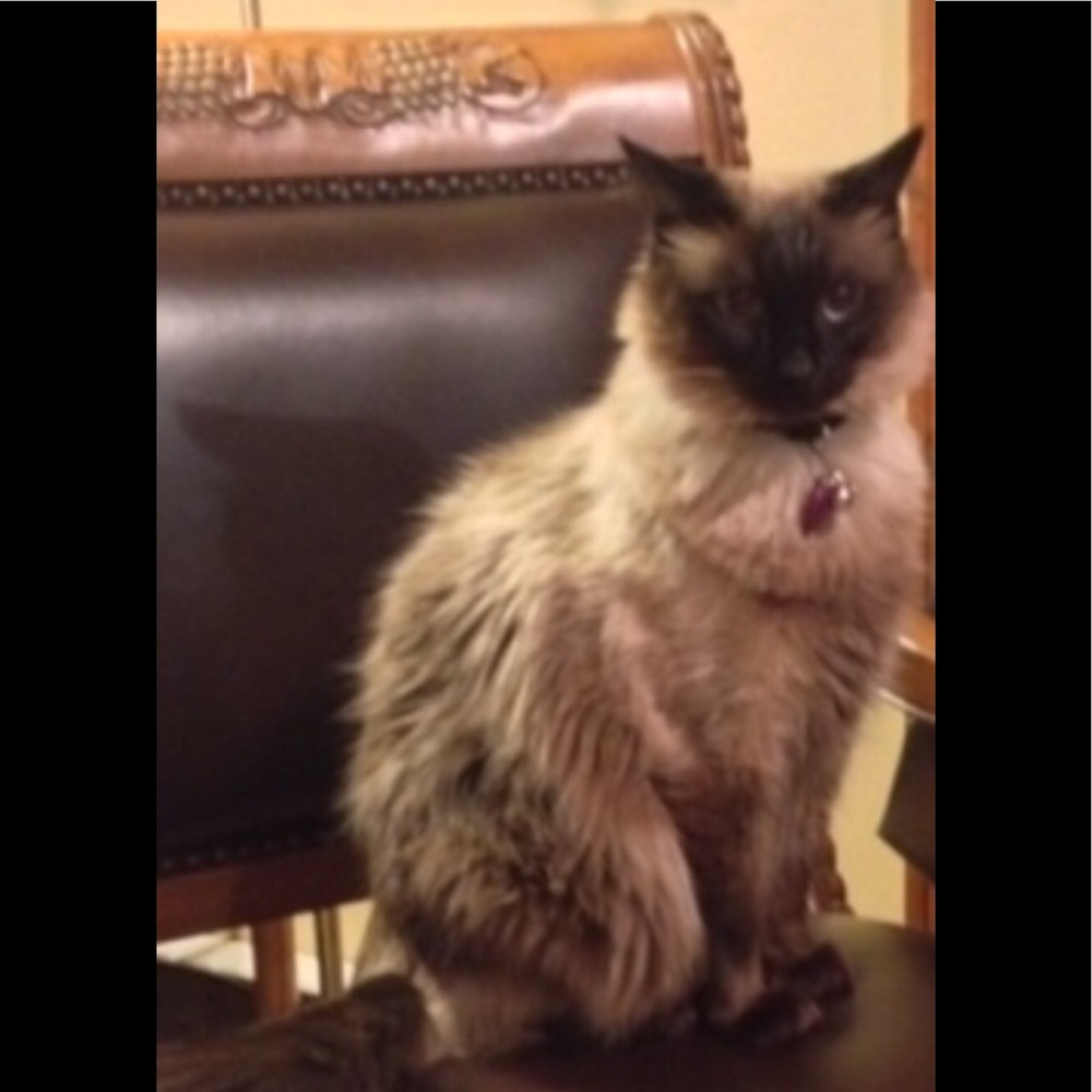 Meet your Posher, Endless